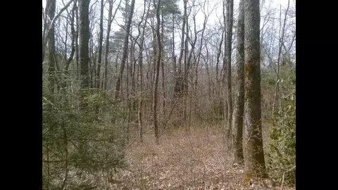 0 Cowee Mt, Highlands, NC 28741