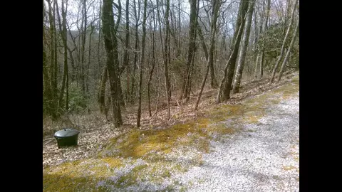 0 Cowee Mt, Highlands, NC 28741 photo 2