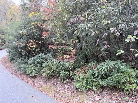 196 Wild Berry, Sapphire, NC 28774 photo 2
