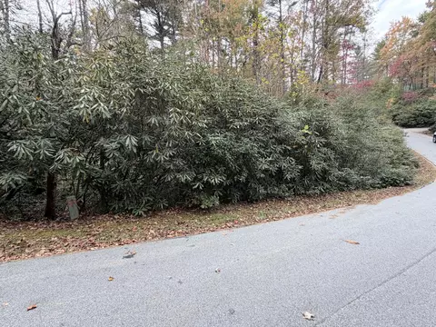 196 Wild Berry, Sapphire, NC 28774 photo 4
