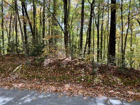 35 Locust Ct, Sapphire, NC 28774