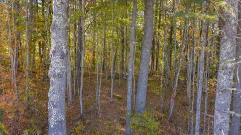 Lt 11 Come Along Way, Cullowhee, NC 28723 photo 11