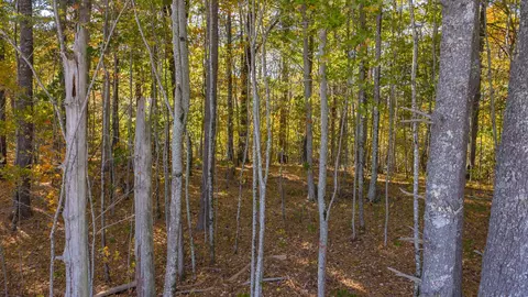 Lt 11 Come Along Way, Cullowhee, NC 28723 photo 12