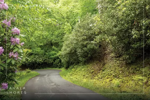 lot5 Tahala Shrs, Cullowhee, NC 28723 photo 2