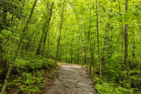 lot5 Tahala Shrs, Cullowhee, NC 28723 photo 16