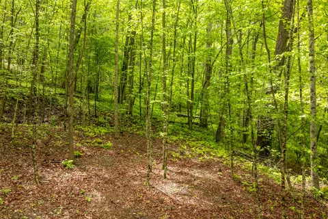 lot5 Tahala Shrs, Cullowhee, NC 28723 photo 18