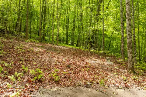 lot5 Tahala Shrs, Cullowhee, NC 28723 photo 17