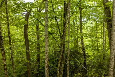 lot5 Tahala Shrs, Cullowhee, NC 28723 photo 20