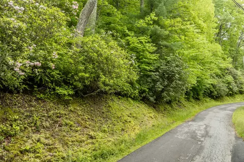 lot5 Tahala Shrs, Cullowhee, NC 28723 photo 4