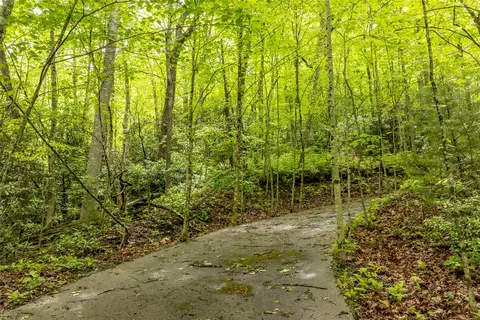 lot5 Tahala Shrs, Cullowhee, NC 28723 photo 15