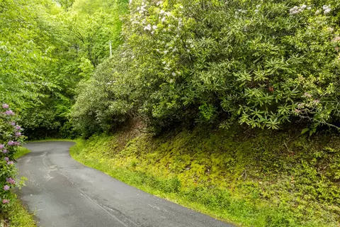 lot5 Tahala Shrs, Cullowhee, NC 28723 photo 3