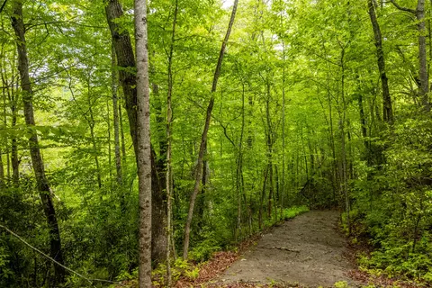 lot5 Tahala Shrs, Cullowhee, NC 28723 photo 19