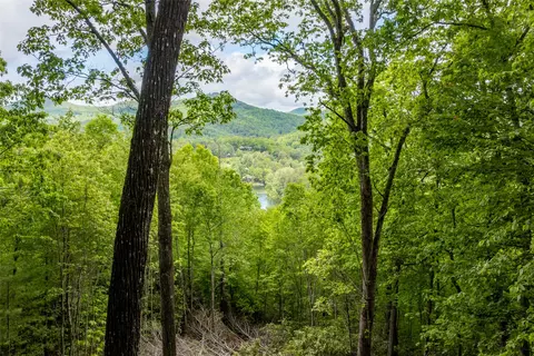 lot13 Shepherds Gap Rd, Cullowhee, NC 28723 photo 8