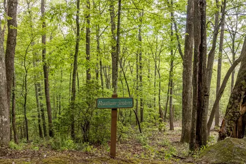 lot13 Shepherds Gap Rd, Cullowhee, NC 28723 photo 4