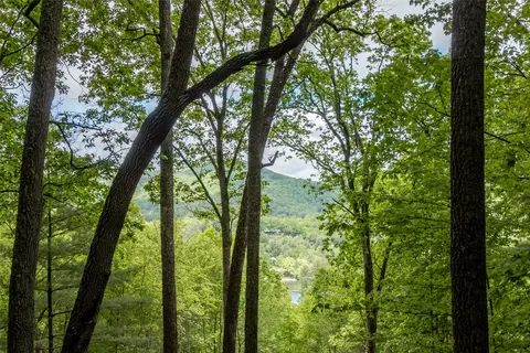 lot13 Shepherds Gap Rd, Cullowhee, NC 28723 photo 7