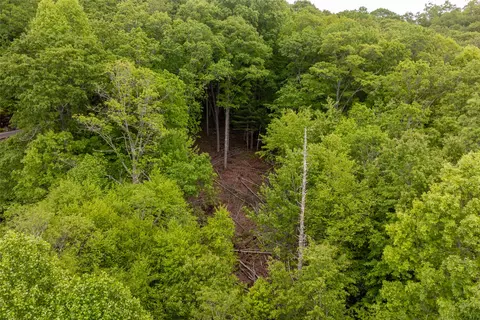 lot13 Shepherds Gap Rd, Cullowhee, NC 28723 photo 11