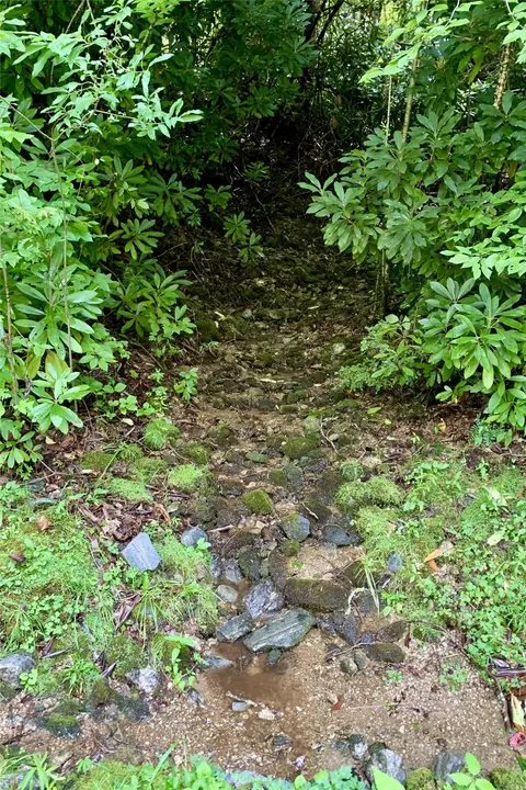 lot6 Woods Mountain Trl, Cullowhee, NC 28723 photo 14