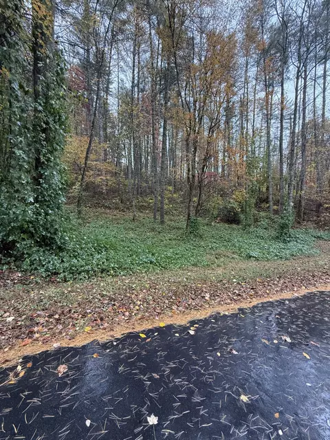 34 Rustling Woods Trl, Cullowhee, NC 28723 photo 4