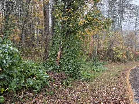34 Rustling Woods Trl, Cullowhee, NC 28723 photo 5