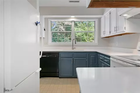 110 Lakeview Ct #1104, Brevard, NC 28712 photo 11