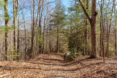 3 Buck Creek Road, Highlands, NC 28741 photo 33