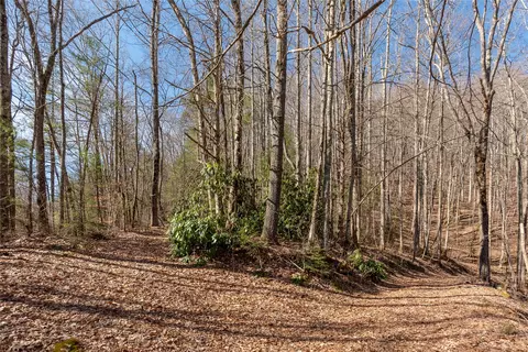 3 Buck Creek Road, Highlands, NC 28741 photo 35
