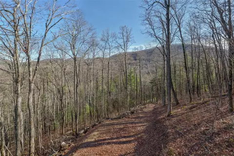 3 Buck Creek Road, Highlands, NC 28741 photo 16