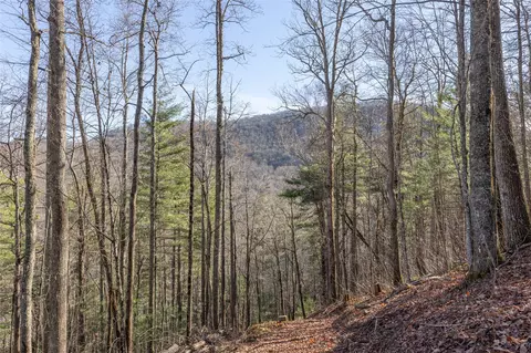 3 Buck Creek Road, Highlands, NC 28741 photo 10