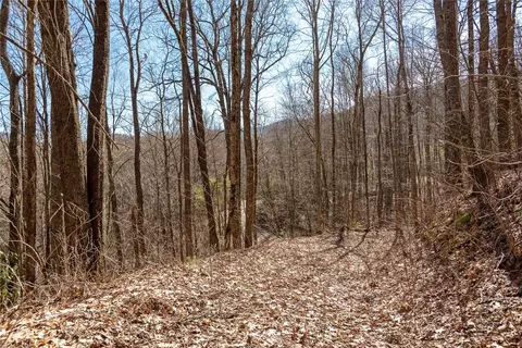 3 Buck Creek Road, Highlands, NC 28741 photo 34