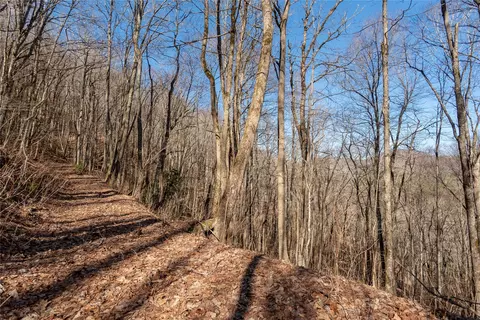 3 Buck Creek Road, Highlands, NC 28741 photo 38