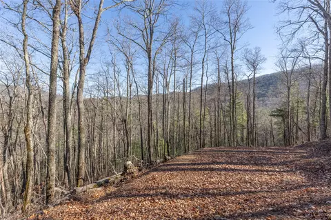 3 Buck Creek Road, Highlands, NC 28741 photo 14