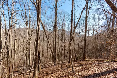 3 Buck Creek Road, Highlands, NC 28741 photo 44