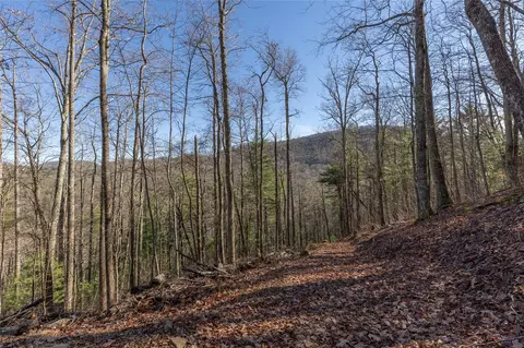 3 Buck Creek Road, Highlands, NC 28741 photo 9