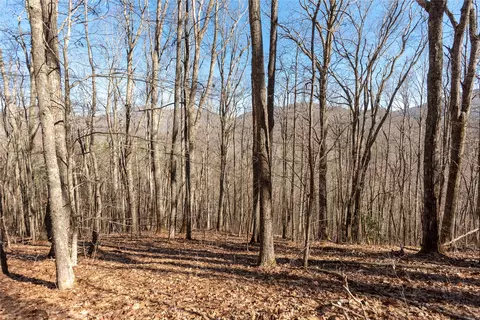 3 Buck Creek Road, Highlands, NC 28741 photo 46