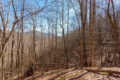3 Buck Creek Road, Highlands, NC 28741 photo 43