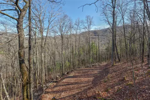 3 Buck Creek Road, Highlands, NC 28741 photo 17