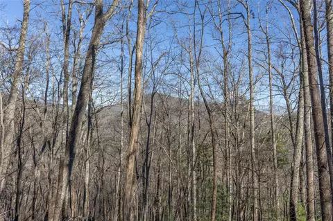 3 Buck Creek Road, Highlands, NC 28741 photo 12