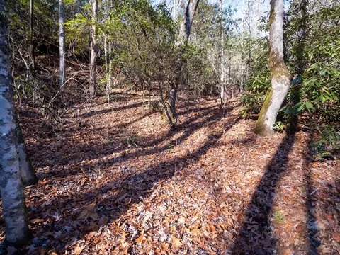 tbd Sapphire Rd, Sapphire, NC 28774 photo 5