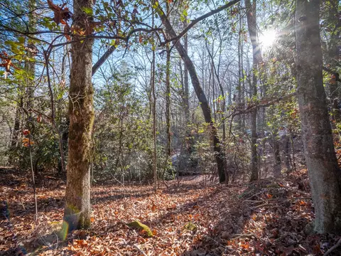 tbd Sapphire Rd, Sapphire, NC 28774 photo 3