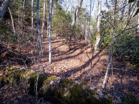 tbd Sapphire Rd, Sapphire, NC 28774 photo 6