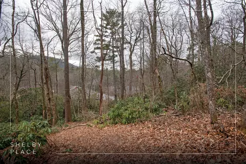 7980 S Shelby Cir, Highlands, NC 28741