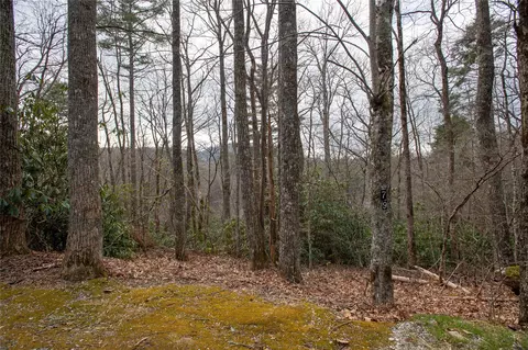 7980 S Shelby Cir, Highlands, NC 28741 photo 5