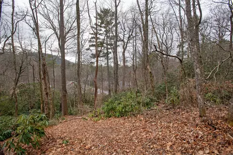 7980 S Shelby Cir, Highlands, NC 28741 photo 10