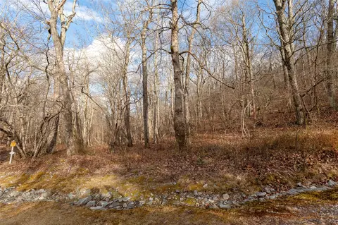 lot51 Tower Rd, Sapphire, NC 28774 photo 9