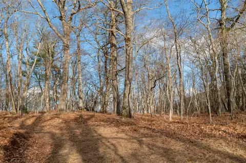 lot51 Tower Rd, Sapphire, NC 28774 photo 8