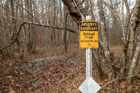 lot51 Tower Rd, Sapphire, NC 28774 photo 7