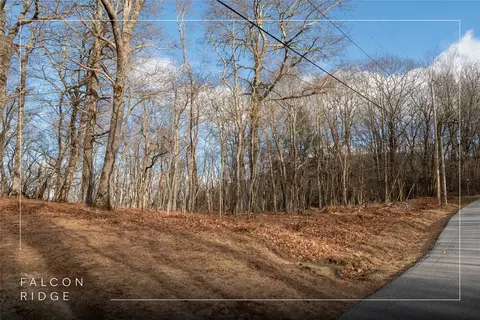 lot51 Tower Rd, Sapphire, NC 28774 photo 2