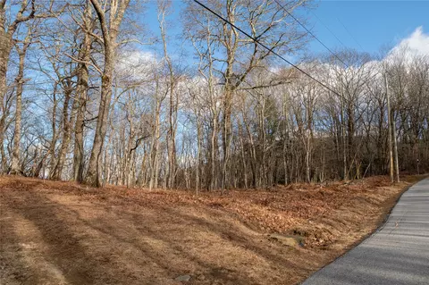 lot51 Tower Rd, Sapphire, NC 28774 photo 5