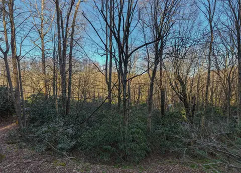 00 Falls Dr W, Highlands, NC 28741 photo 13
