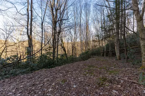 00 Falls Dr W, Highlands, NC 28741 photo 5